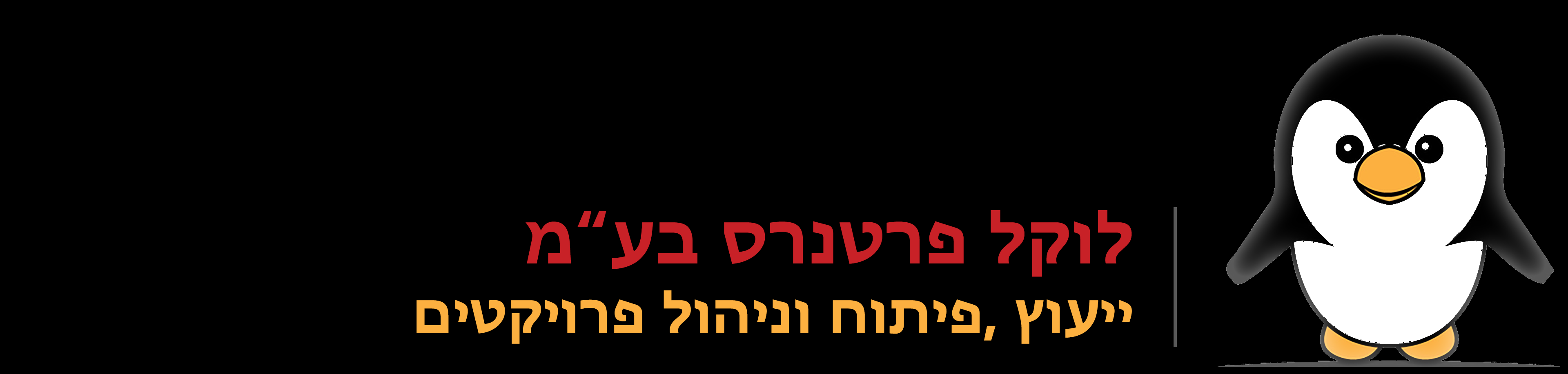 לוקל פרטנרס בע"מ
